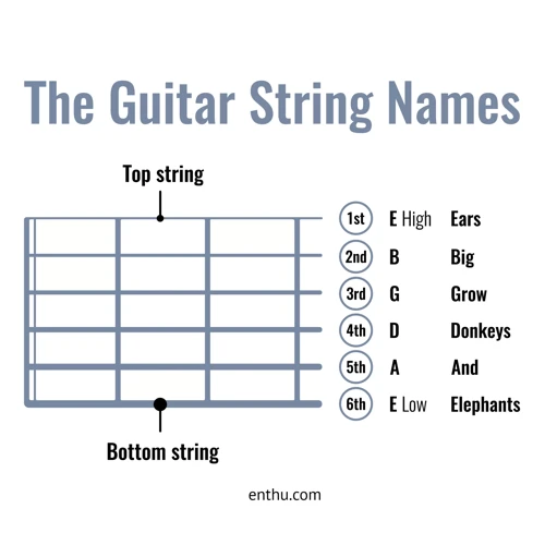 Warum Braucht Man Eine Eselsbrücke Für Gitarrensaiten?